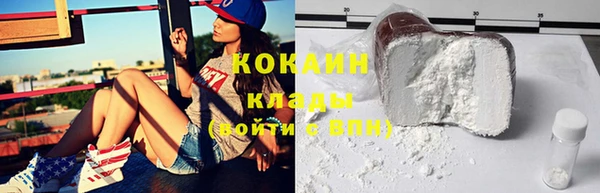 индика Киреевск