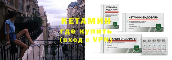 индика Киреевск