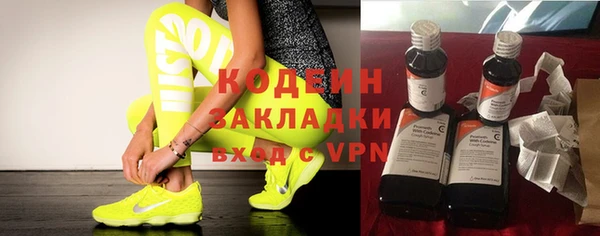 индика Киреевск