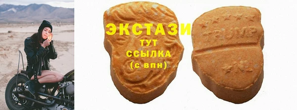 индика Киреевск
