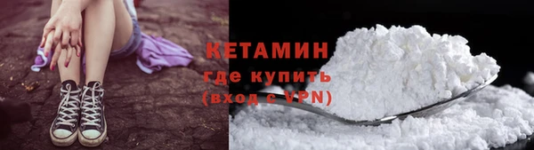 индика Киреевск