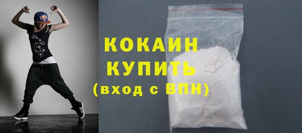индика Киреевск