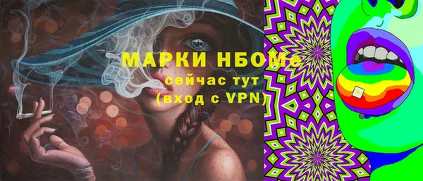индика Киреевск