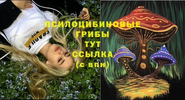 индика Киреевск