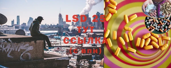 индика Киреевск