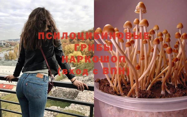 индика Киреевск