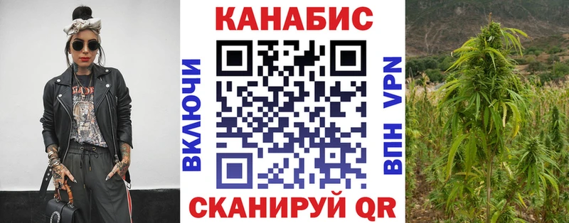 Купить  Пудож  Бошки марихуана марихуана 